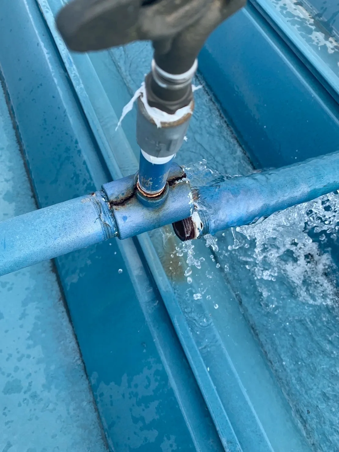 仲間に感謝‼️