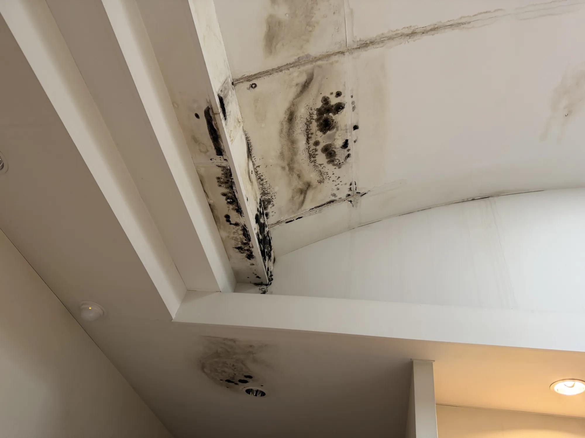 雨漏り調査!! - 施工前